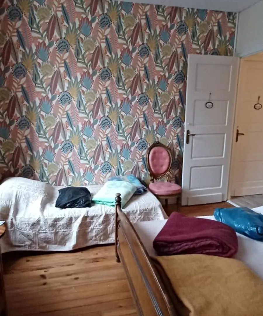 Chez Virginie - Chambre Du Bourg Lourdes Privat bolig